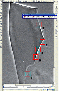 Glass fragment being analyzed